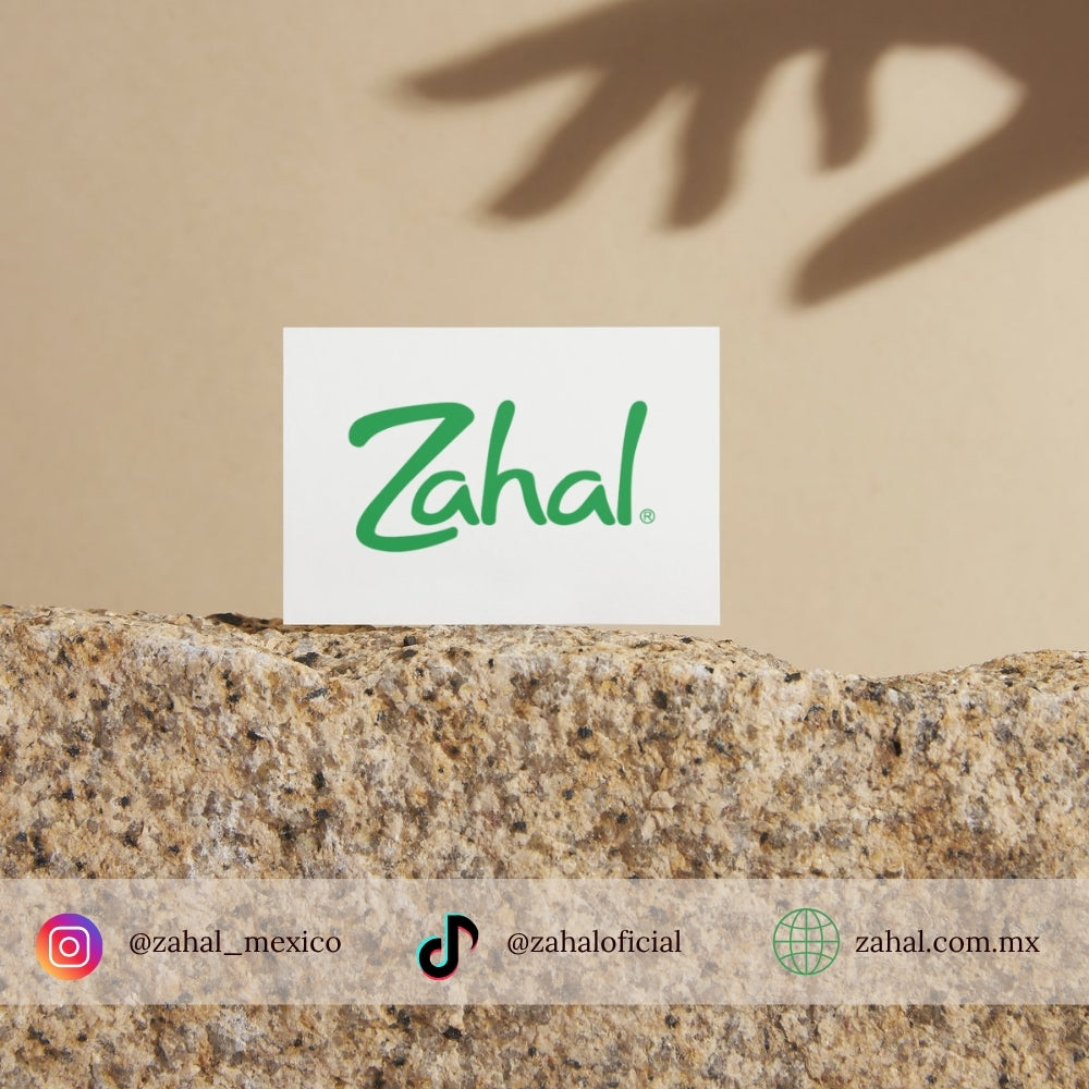 Desodorante Natural de Piedra de Alumbre ZAHAL Roll On For men 90 ml – Sin Clorhidrato de Aluminio, Sin Alcohol, Sin Fragancia, Sin Parabenos – Con Aloe Vera – Vegano, Orgánico, No Tóxico, pH Neutro